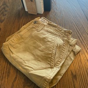 Mens American Eagle Longboard Shorts